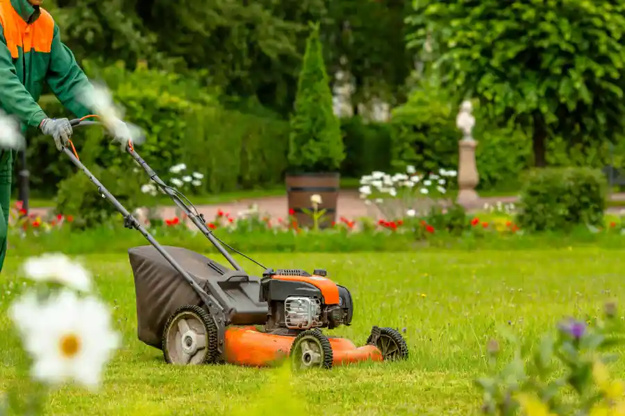 Landscaping Maintenance